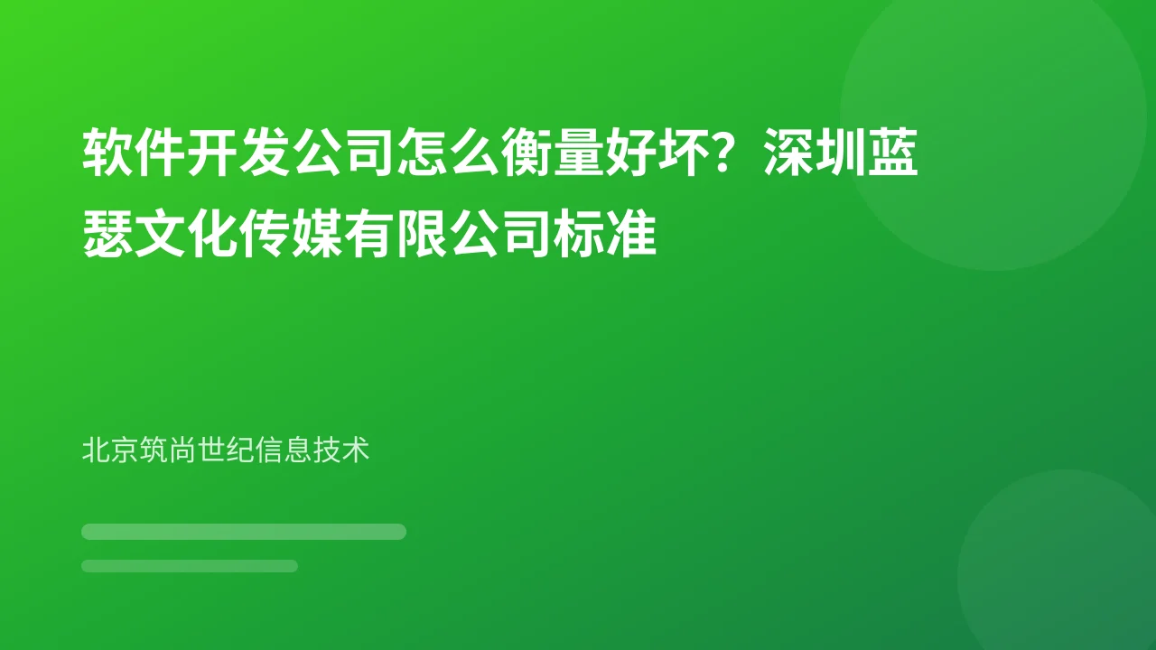 软件开发公司怎么衡量好坏？深圳蓝瑟文化传媒有限公司标准